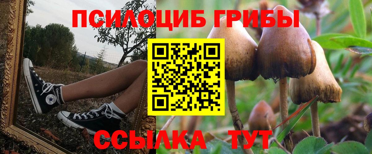 Пушкино  Псилоцибиновые грибы Magic Shrooms  Вход с VPN  купить наркотики сайты  Галлюциногенные грибы GOLDEN TEACHER 